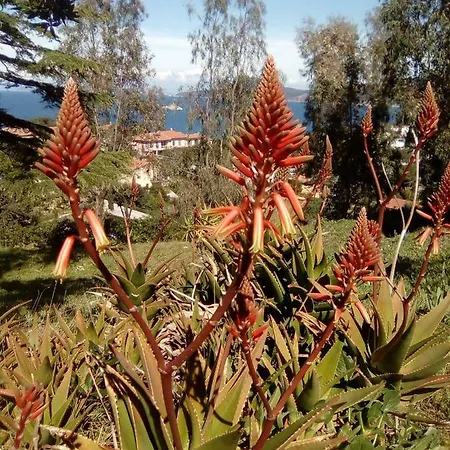 アパート Sansone