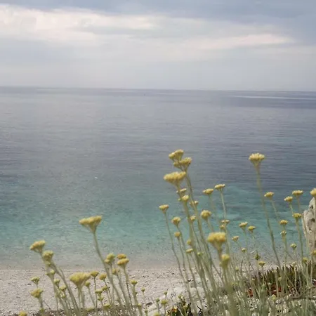 Sansone アパート *