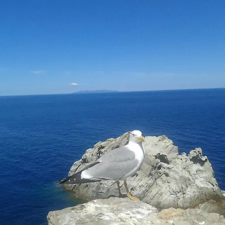 Sansone アパート *